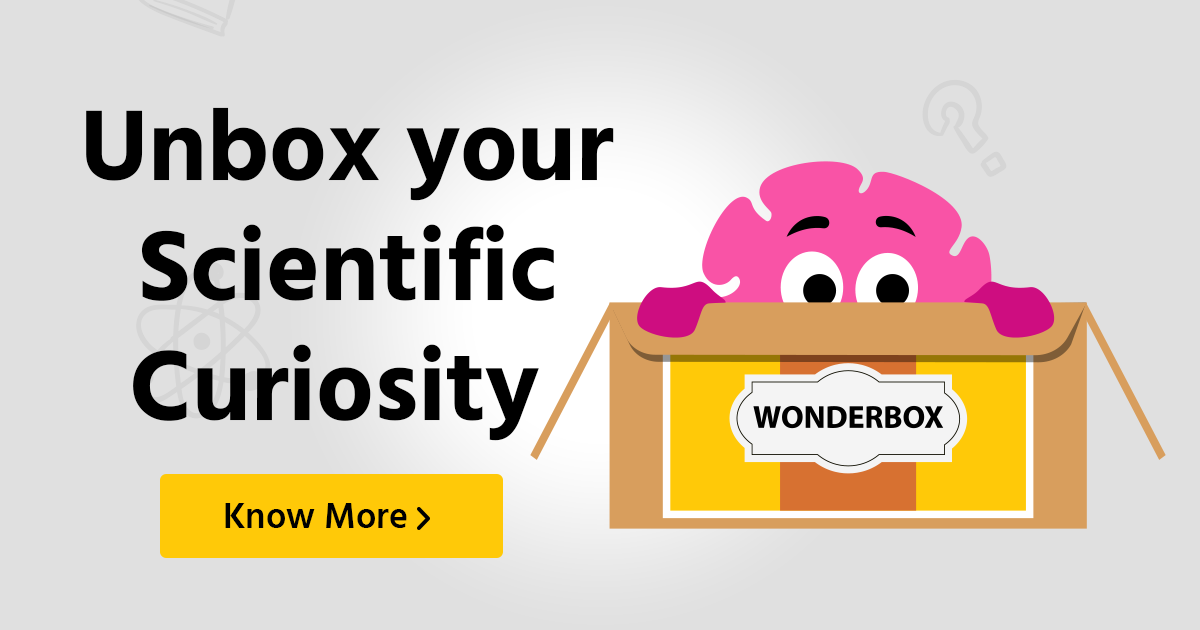 WONDERBOX | Wonderlab™ - The Wonderland of Toys